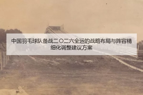 中国羽毛球队备战二〇二六全运的战略布局与阵容精细化调整建议方案